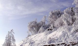 西岭雪山最佳旅游时间,什么时候去西岭雪山最好 西岭雪山旅游